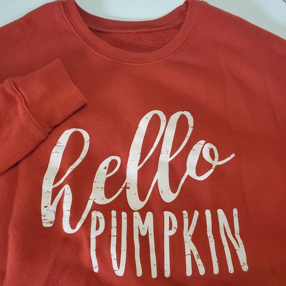 Hello Pumpkin Sweatshirt Orange Cropped Raw Hem Fall Thanksgiving Women L - Picture 1 of 5